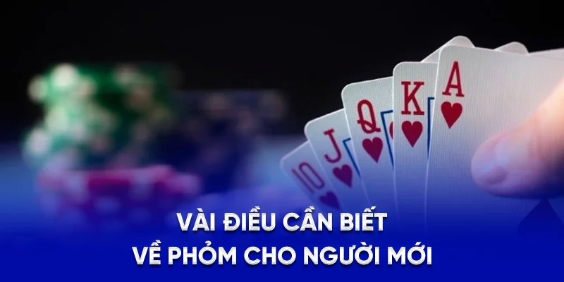 Cách Chơi Bài Phỏm 78WIN - Bí Kíp Thắng Chuẩn Từ Cao Thủ 1 Vài điều cần biết về phỏm cho người mới