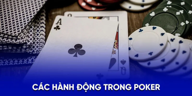 Poker 78WIN - Cách Đặt Cược Và Mẹo Thắng Lớn Cho Bet Thủ 2 Các hành động trong poker